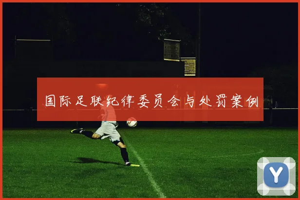 国际足联纪律委员会与处罚案例