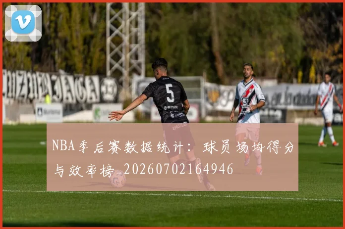 NBA季后赛数据统计：球员场均得分与效率榜_20260702164946