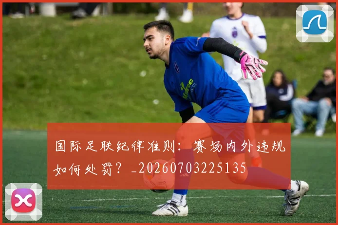 国际足联纪律准则:赛场内外违规如何处罚?_20260703225135